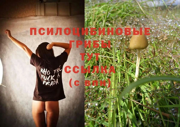 молекула духа Балахна