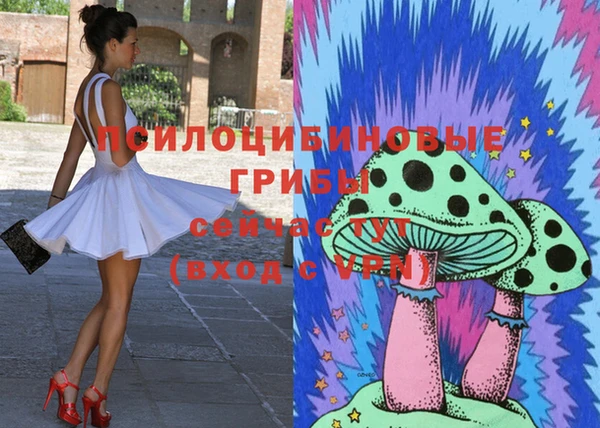молекула духа Балахна