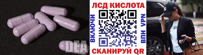 дарнет шоп  Мезень  Лсд 25 экстази кислота 