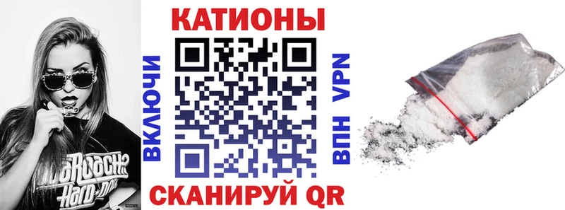 МЯУ-МЯУ мяу мяу где найти Мезень
